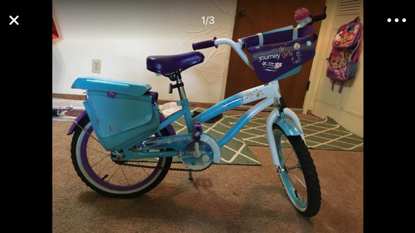 journey girls bicycle