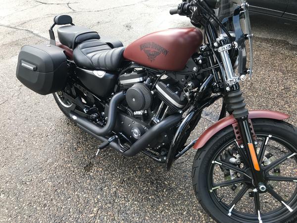 sportster viking bags