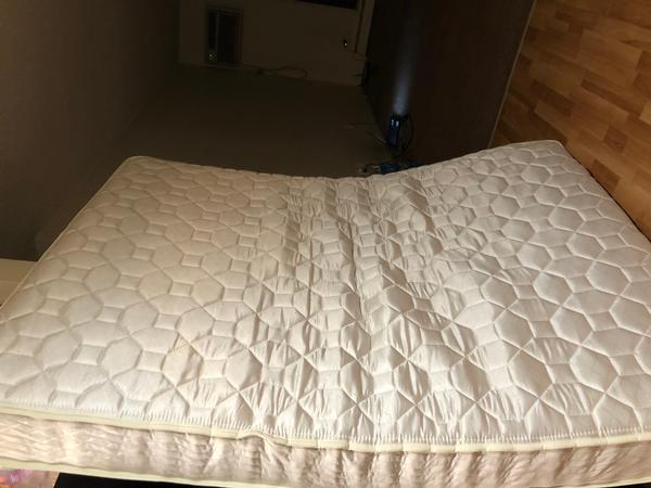 Queen size bed $40