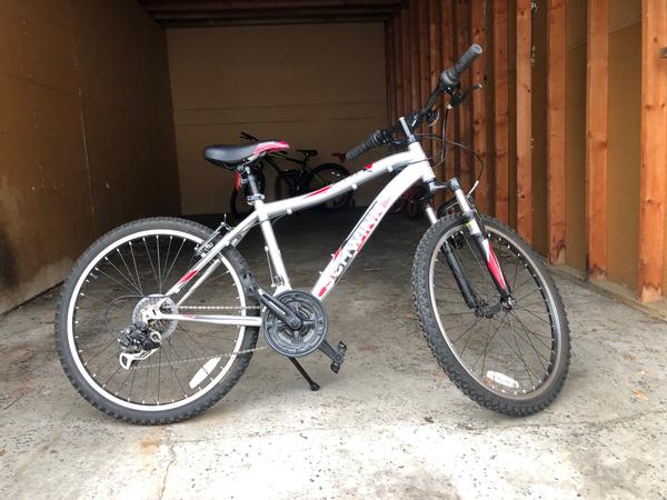 schwinn ranger 26 target