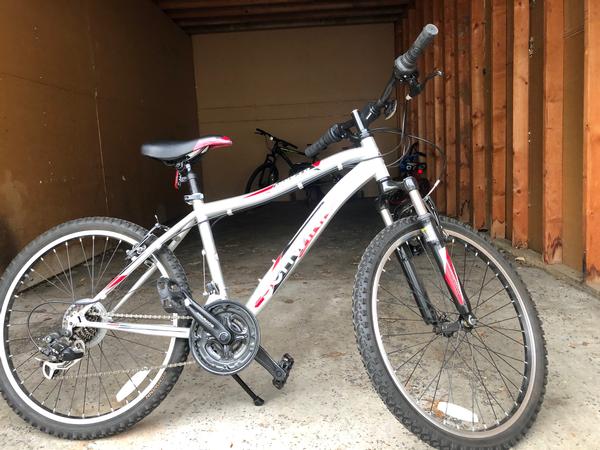 schwinn ranger 26 target